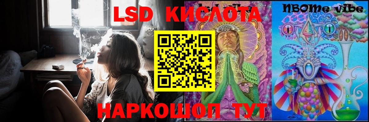 Новозыбков  ЛСД экстази  Вход с VPN  LSD-25 экстази кислота 