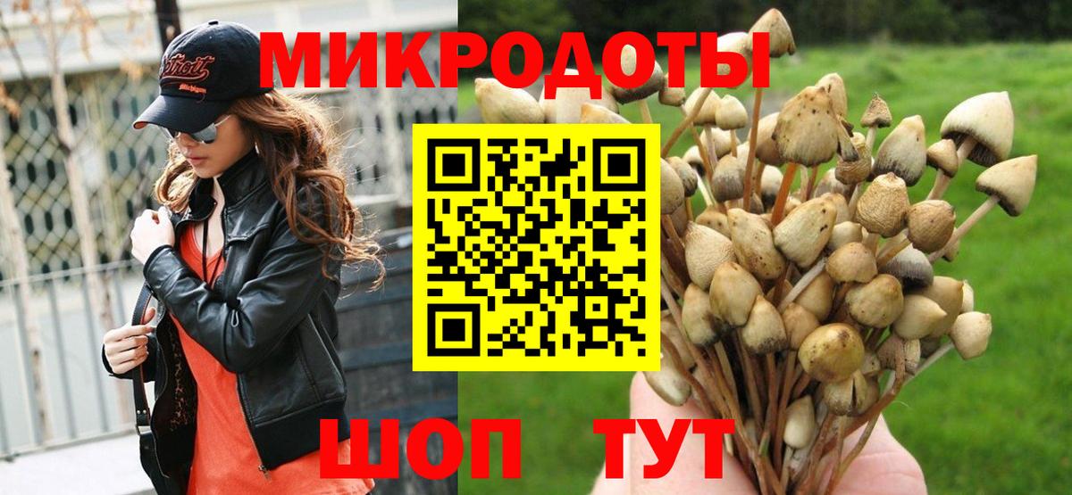 Галлюциногенные грибы мухоморы Новозыбков